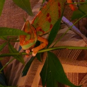 I'm a thrifter at heart but love my labels !! All brands pre-owned with care